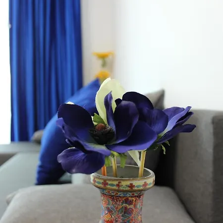 Zenity Star Apartment *