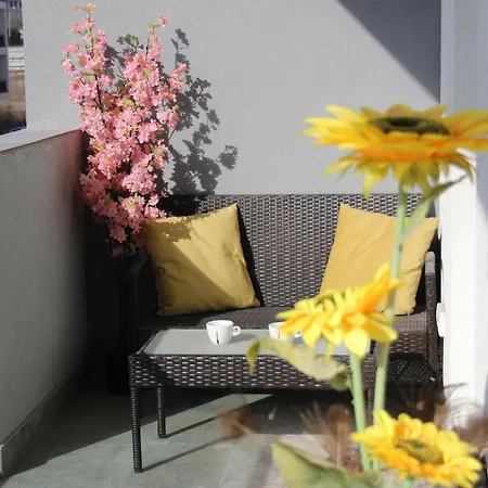 Zenity Star Apartment *