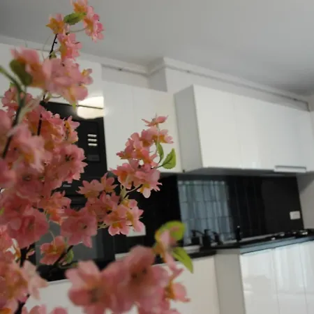 Apartment Zenity Star *