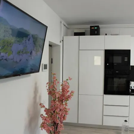 Apartment Zenity Star Navodari